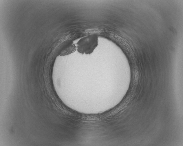 X0000115351393200912151326