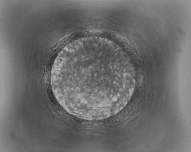 X0000115351397200912151327