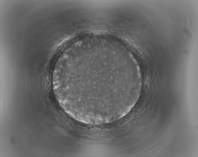 X0000115351398200912151327