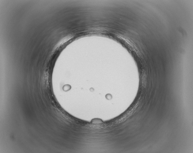 X0000115351402200912151327