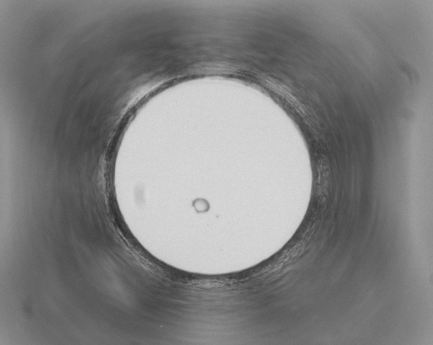 X0000115351404200912151327