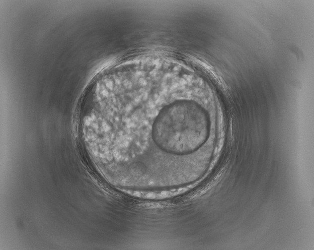 X0000115351405200912151327