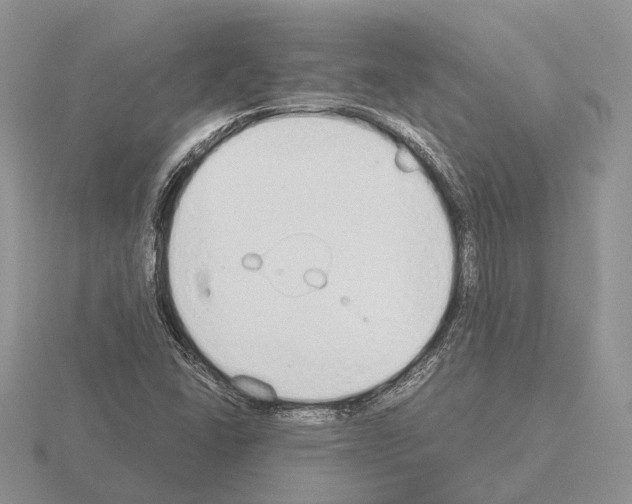 X0000115351406200912151327