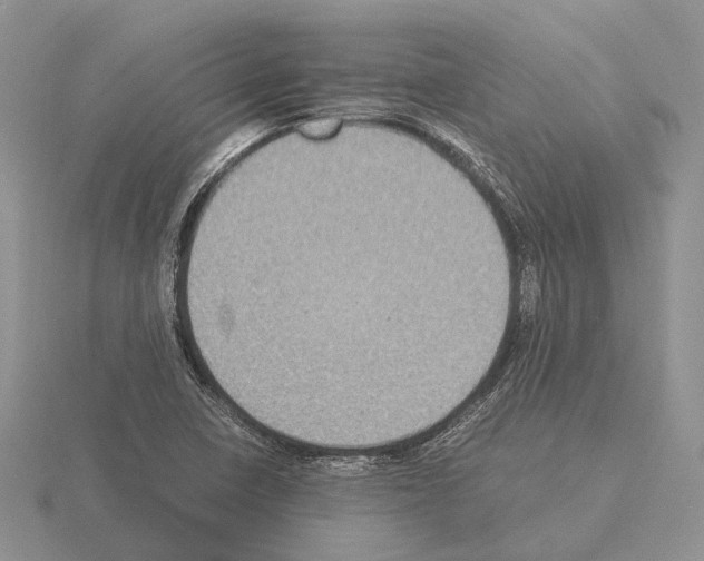 X0000115351410200912151327