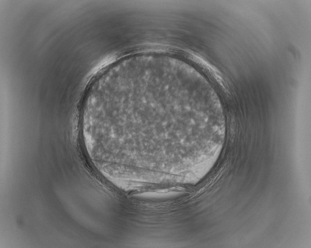 X0000115351411200912151327