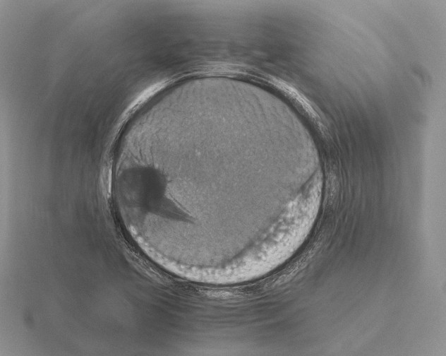 X0000115351413200912151327