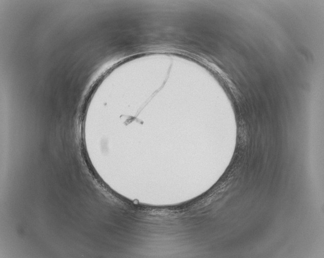 X0000115351416200912151327