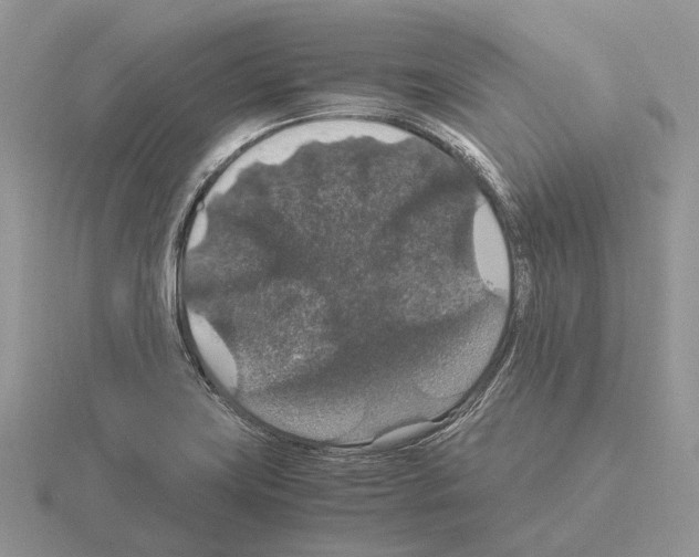 X0000115351419200912151327