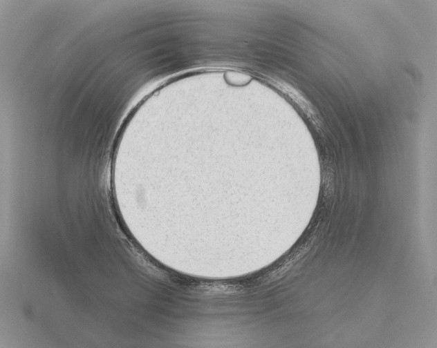 X0000115351420200912151327