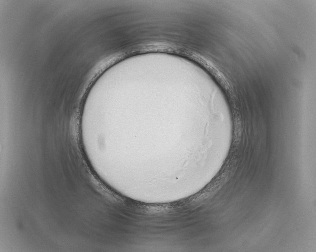 X0000115351421200912151327