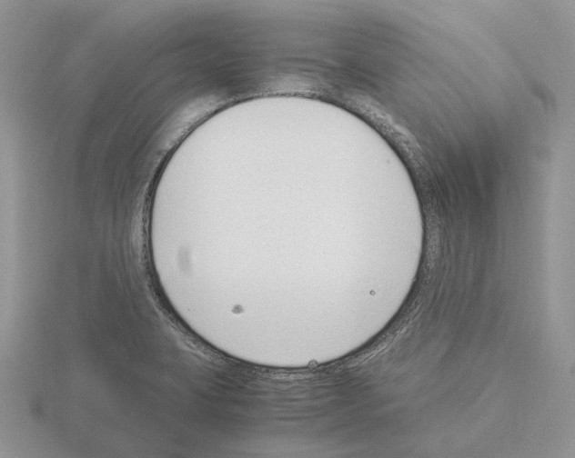 X0000115351423200912151327