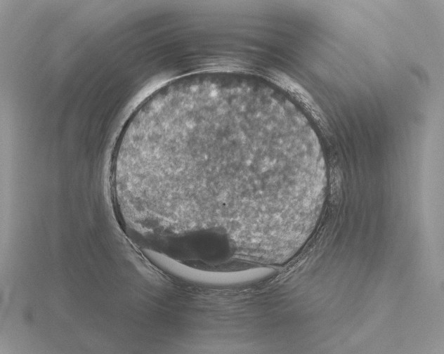 X0000115351427200912151327