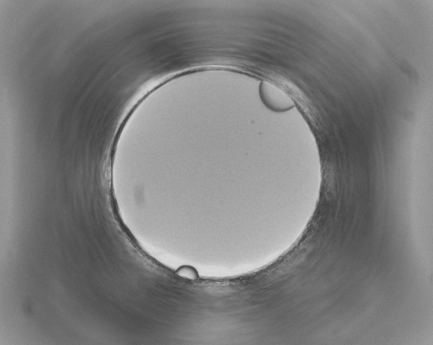 X0000115351428200912151327