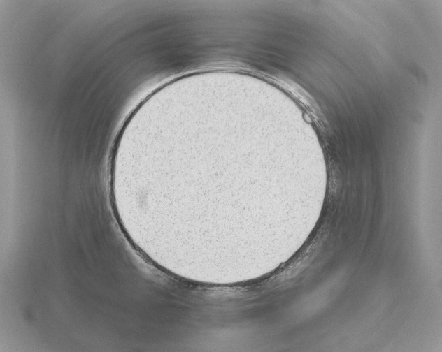 X0000115351430200912151327