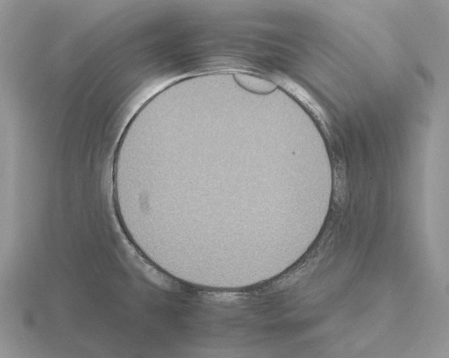 X0000115351431200912151327