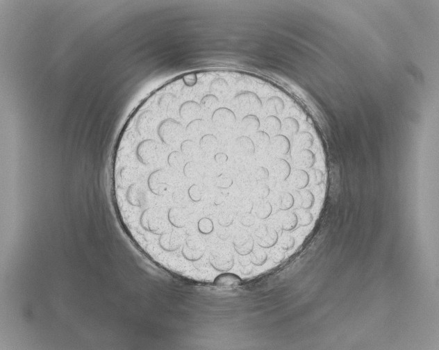 X0000115351432200912151327