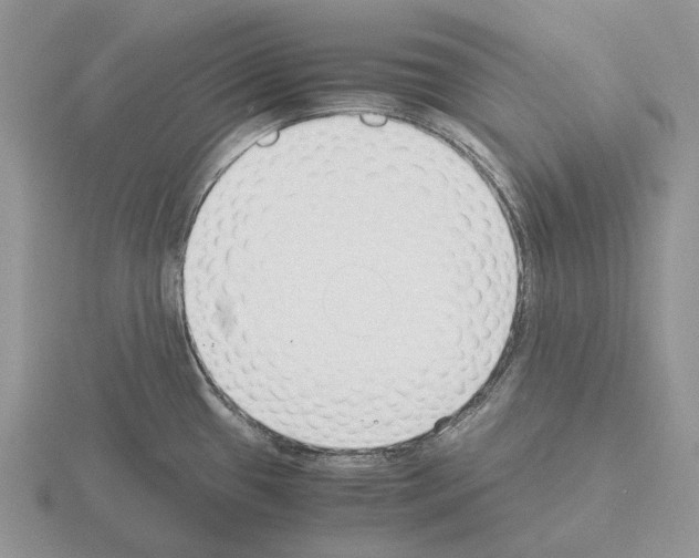 X0000115351433200912151327