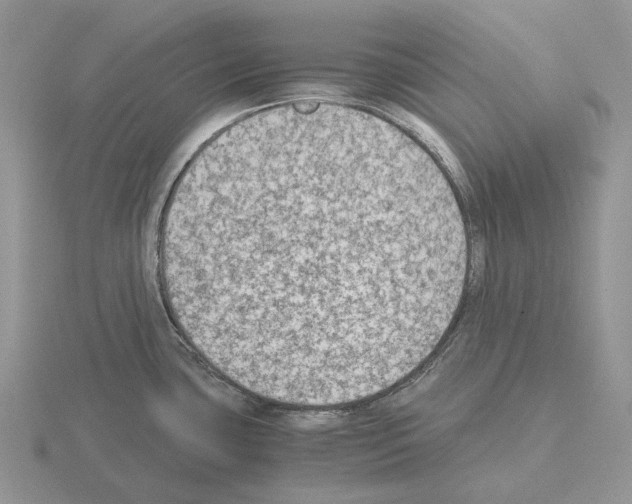 X0000115351435200912151327