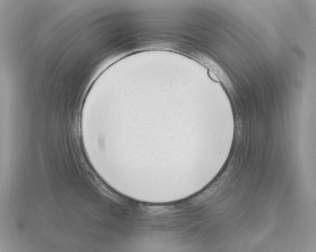 X0000115351436200912151327