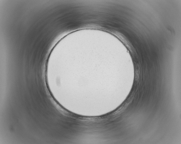 X0000115351438200912151327