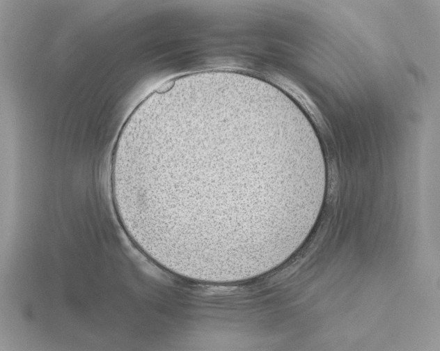 X0000115351439200912151327