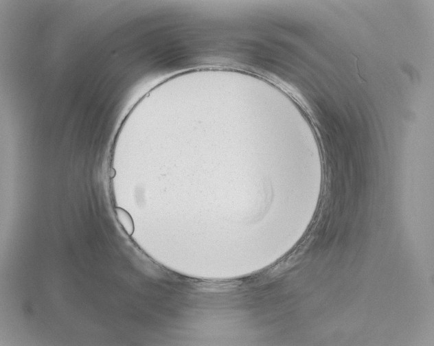 X0000115351440200912151327