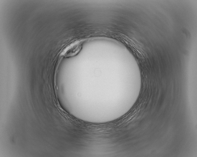 X0000115351441200912151326