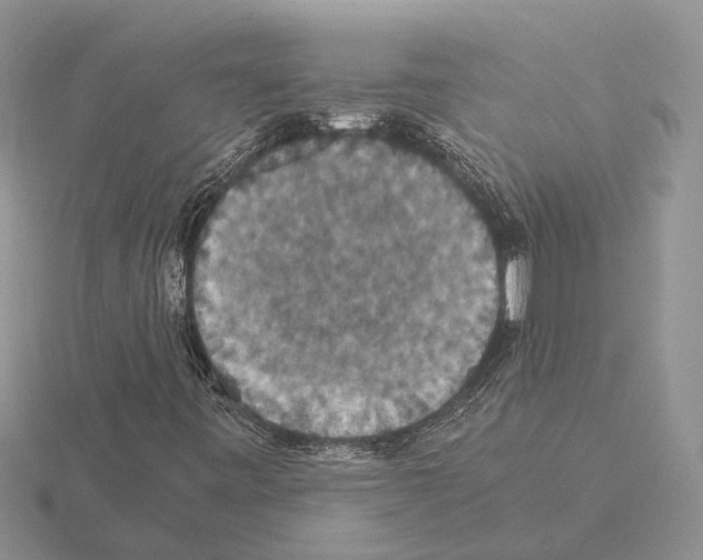 X0000115351443200912151326