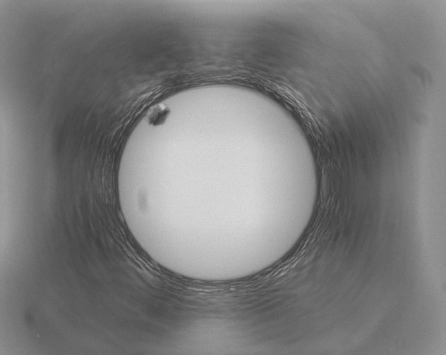 X0000115351444200912151326