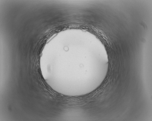 X0000115351445200912151326