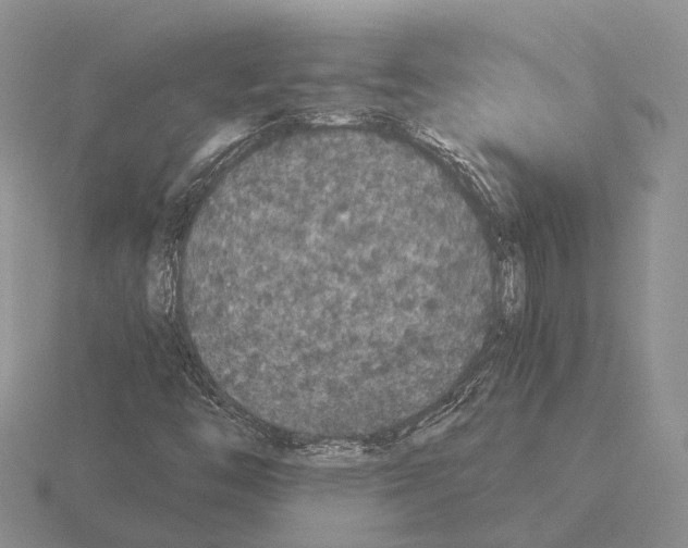 X0000115351446200912151326