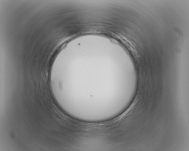 X0000115351449200912151326