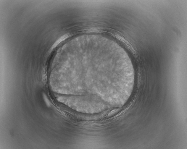 X0000115351450200912151326