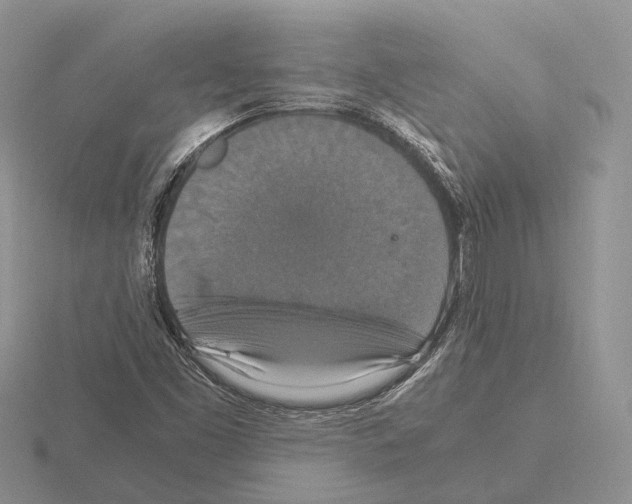 X0000115351453200912151326