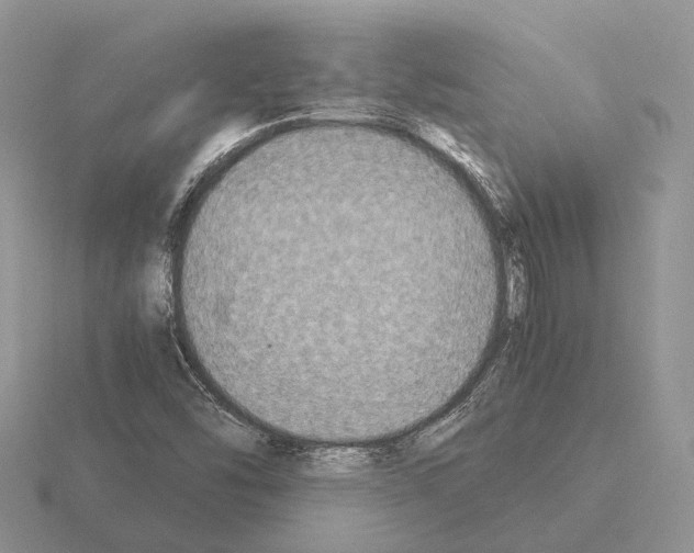 X0000115351454200912151326