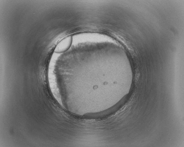 X0000115351455200912151326