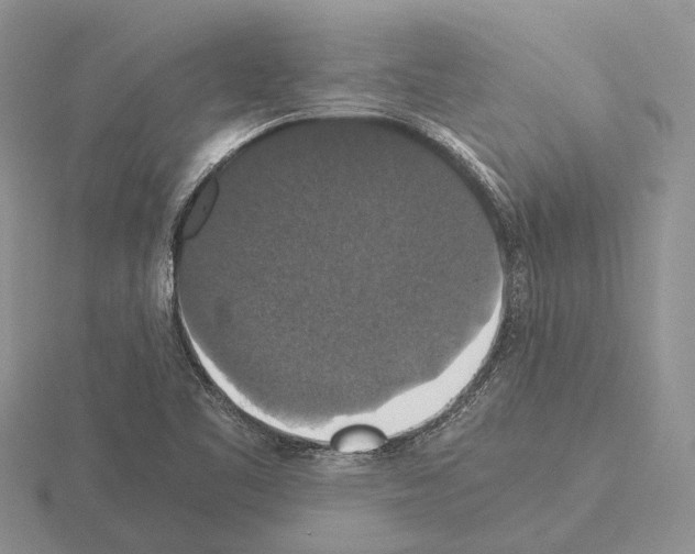 X0000115351461200912151326