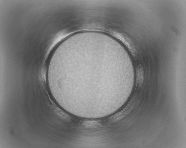 X0000115351462200912151326