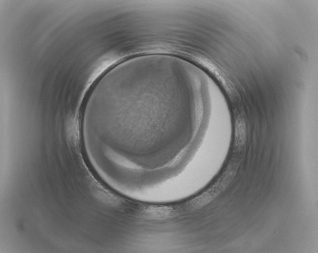 X0000115351466200912151326