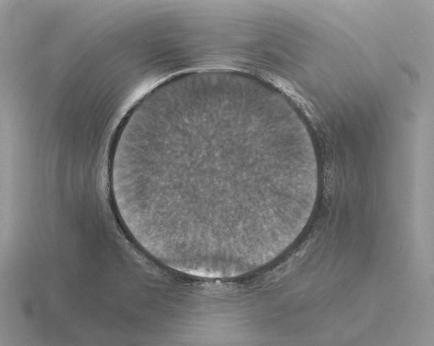 X0000115351469200912151326