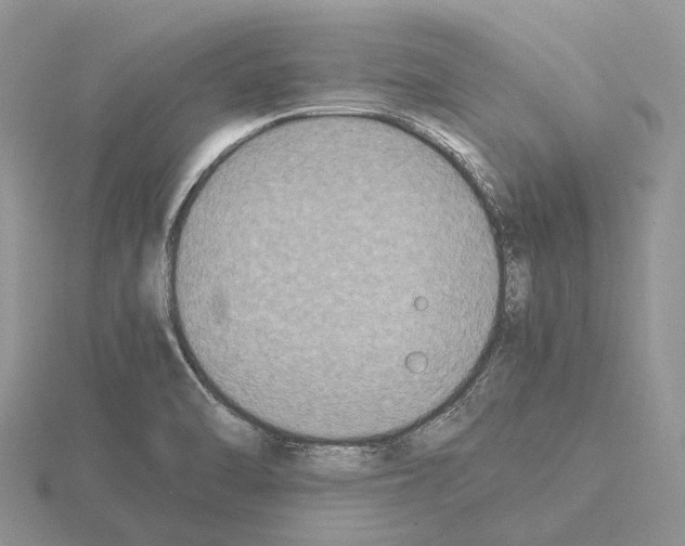 X0000115351470200912151326