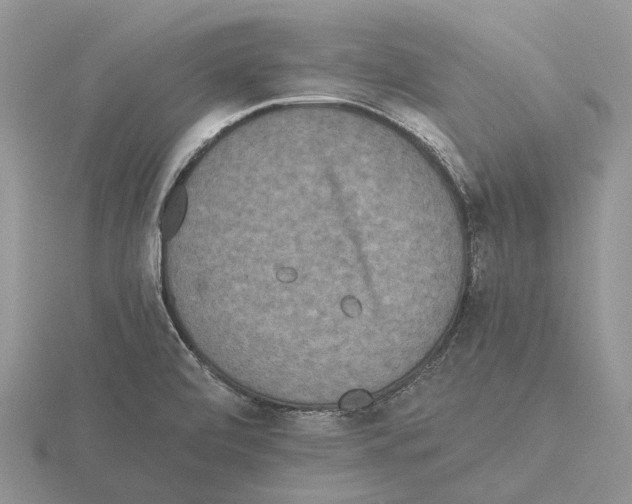 X0000115351472200912151326