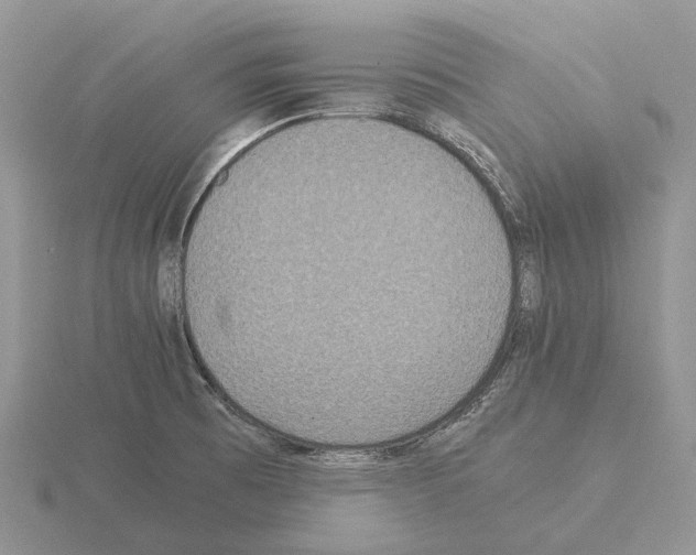 X0000115351473200912151326