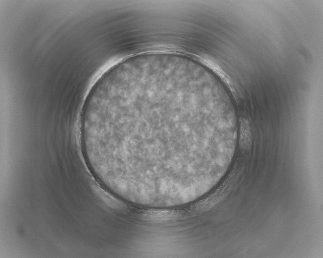 X0000115351474200912151326