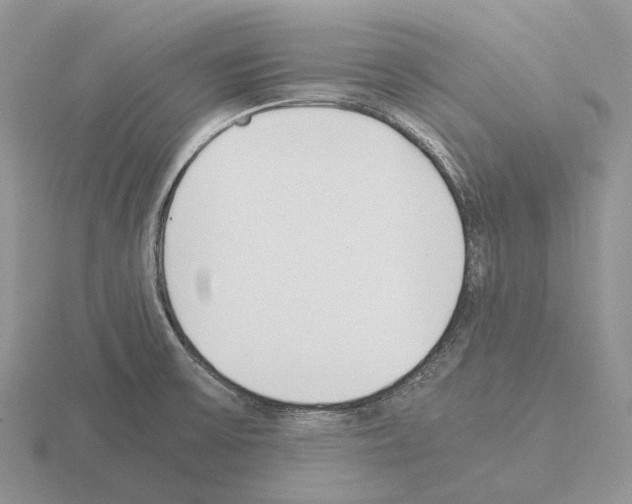 X0000115351475200912151326