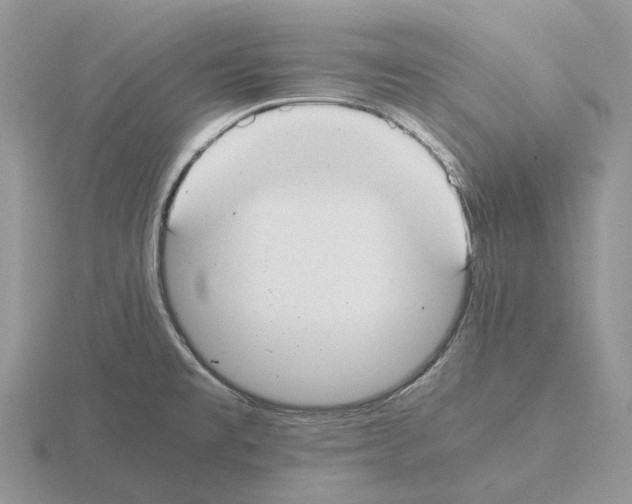 X0000115351477200912151326