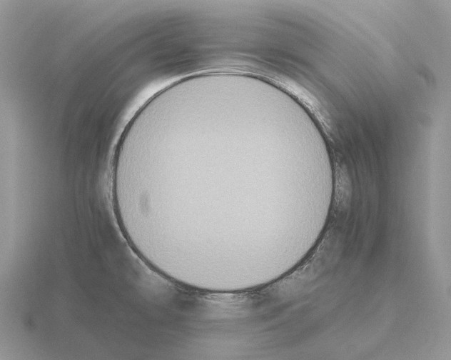 X0000115351478200912151326