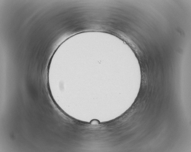 X0000115351479200912151326