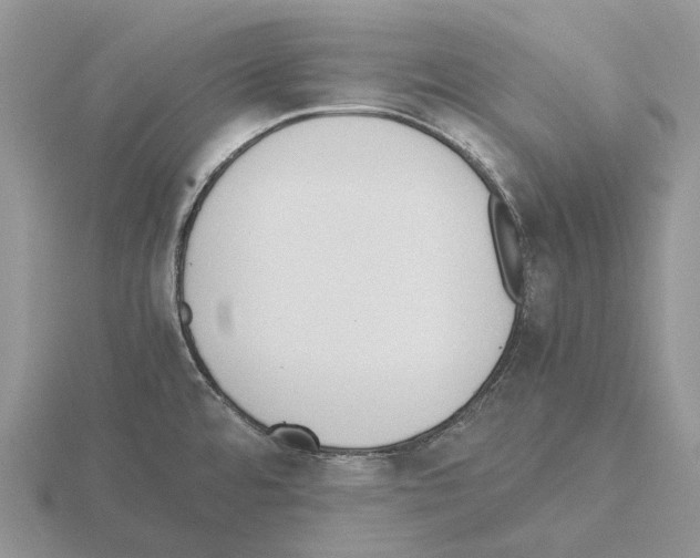 X0000115351480200912151326