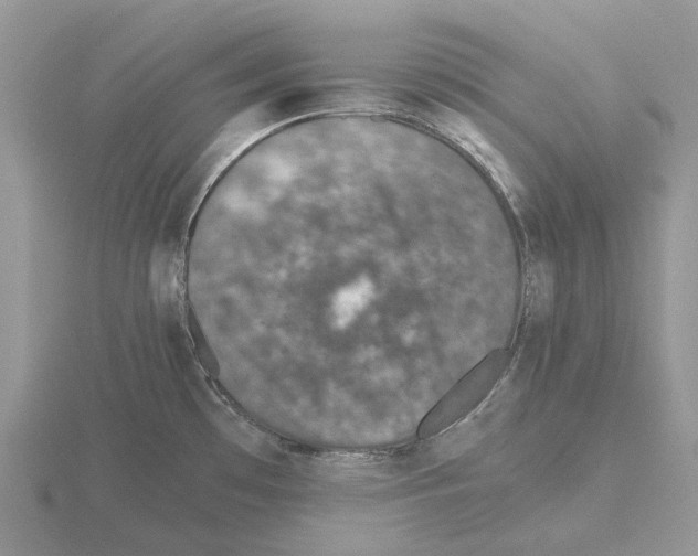 X0000115351481200912151326